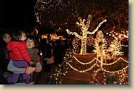 Christmas-Lights-Dec2013 (53) * 5184 x 3456 * (6.96MB)